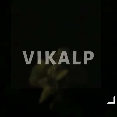 Vikalp profile