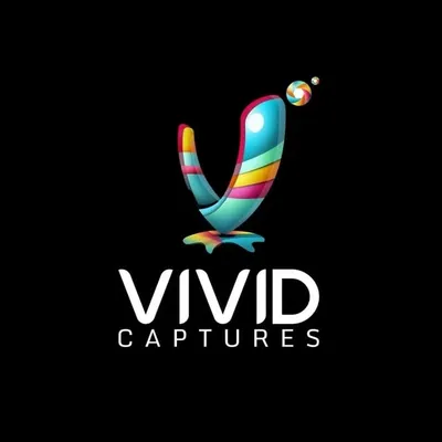 vivid entertainment profile