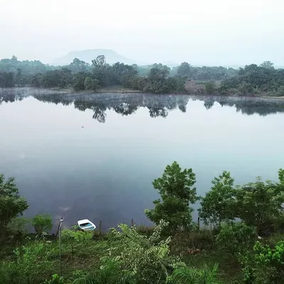 The Waterfront, Kolad profile