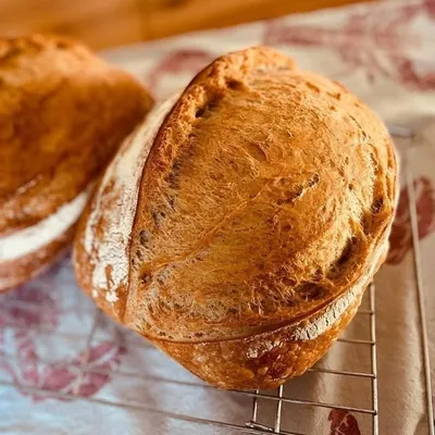 Wild Baker profile