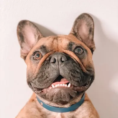 You can call me Hank profile