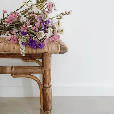 The Wonder Home | Cristiana profile