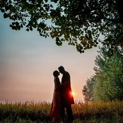 The Wow Weddings profile