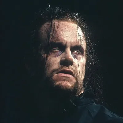 The Wrestling Everything profile