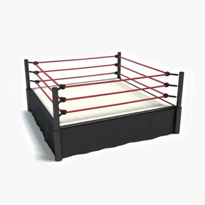The Wrestling Ring profile