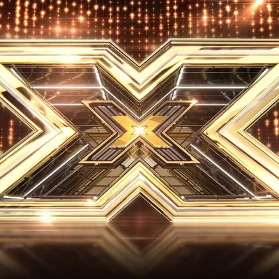 The X Factor profile