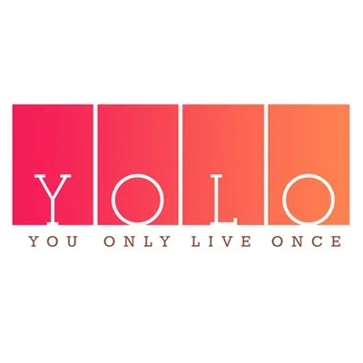YOLO profile