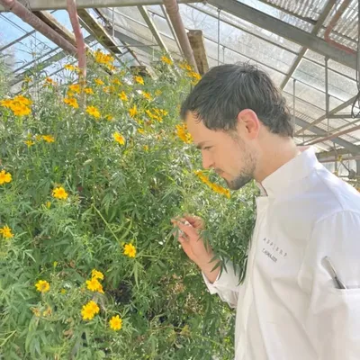 Thibaut Honajzer profile