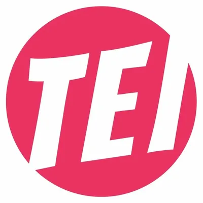 The Entertainment Institute profile