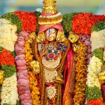PALAPATI TEJA profile