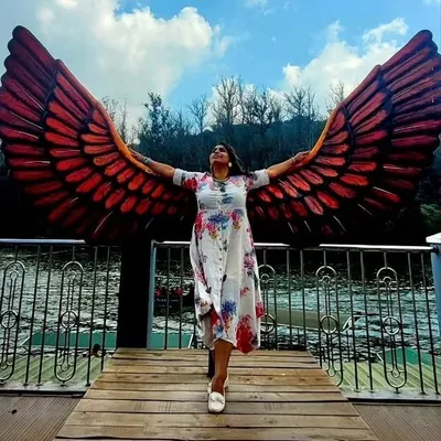 Debjani | Airbnb SuperHost | Creator profile