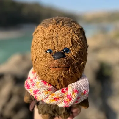 Chewie profile