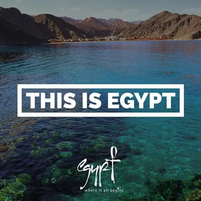 #ThisIsEgypt profile