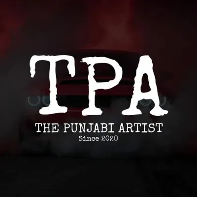 The Punjabi Artist profile