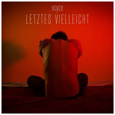 Voyce (Hannes Sigl) profile