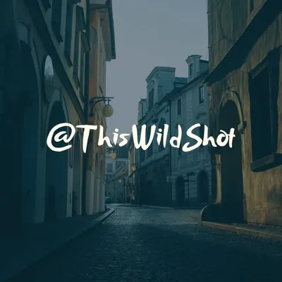 ThisWildShot profile