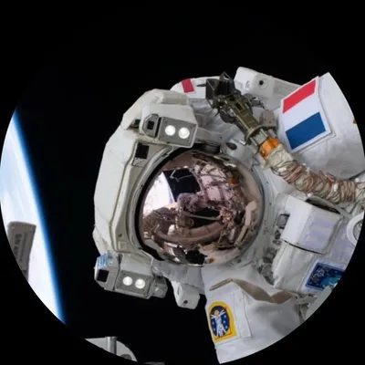 Thomas Pesquet profile