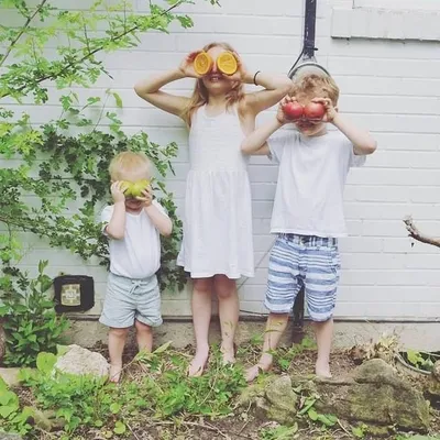 ๐ฑ Three Little Seedlings profile