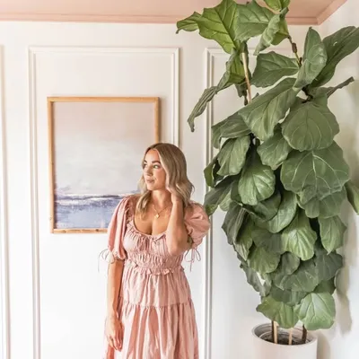 Ro | Home + Lifestyle profile
