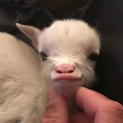 Paige Audrey-Marie Hurd🦒 profile