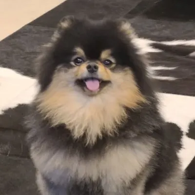 V profile