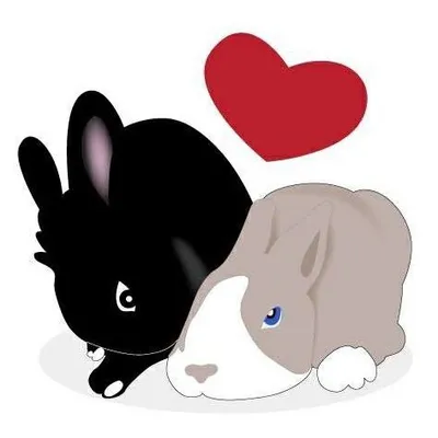 Tiffo&Chany ๐ฎ๐น profile