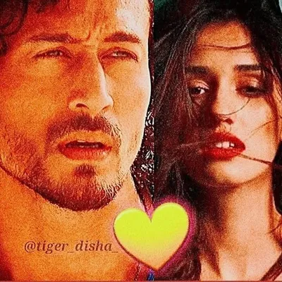 tiger❤disha profile