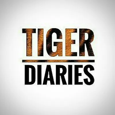 SAVE TIGER🐯 profile