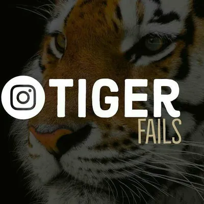 tigerfails profile