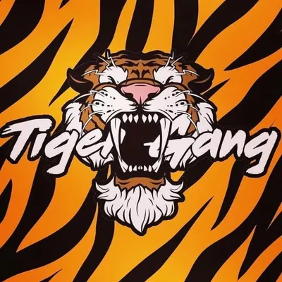 TIGER GANG RECORDS profile