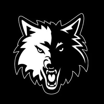 Minnesota Timberwolves profile