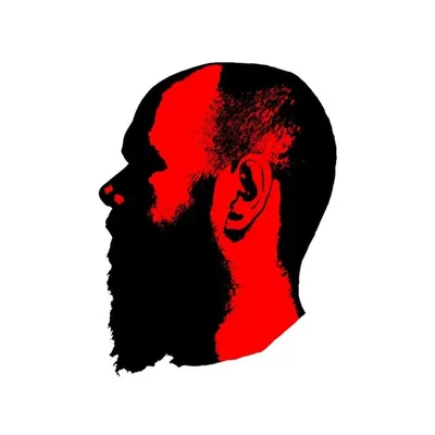Timbi profile