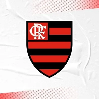 Time Flamengo profile