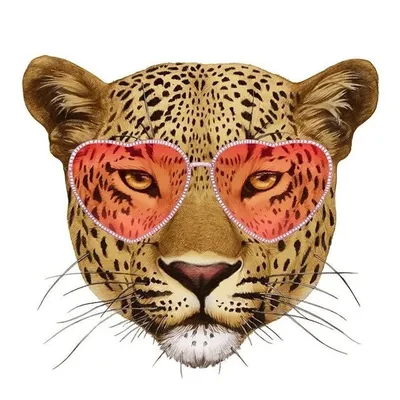 Timeless🐆 profile