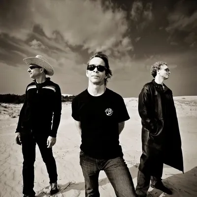 Tim Reynolds profile