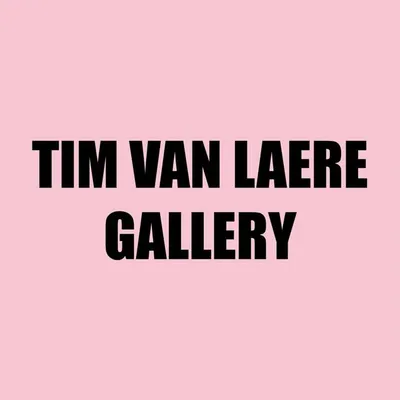 Tim Van Laere Gallery Antwerp-Rome profile