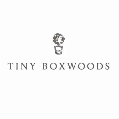 Tiny Boxwoods profile