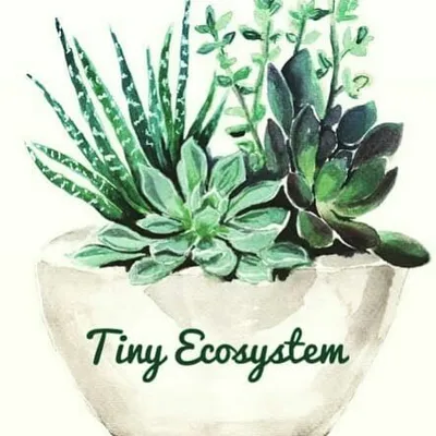 Tiny Ecosystem profile