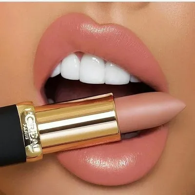 tips femalle ❤ profile