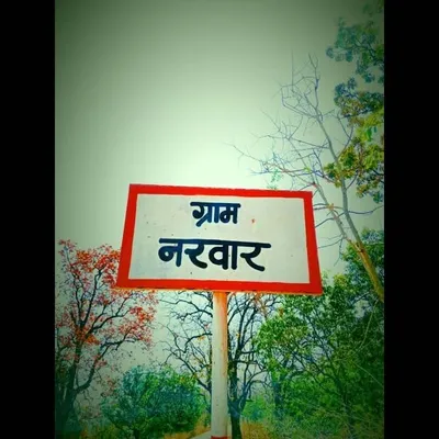 तिरसू बैगा profile