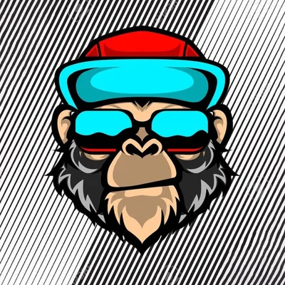 TitO Clip | تیتو کلیپ profile