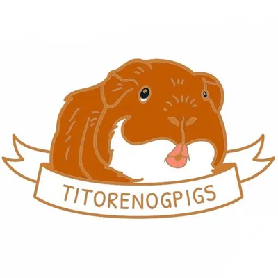TITORENOGPIGS profile