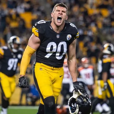 TJ Watt profile