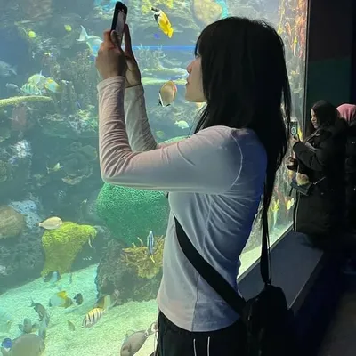 མཁའ་འགྲོ profile