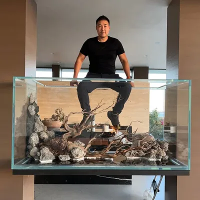 Mark Chen profile