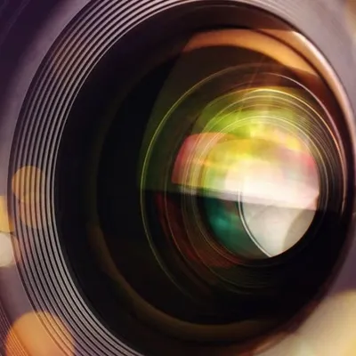Through My Lens profile