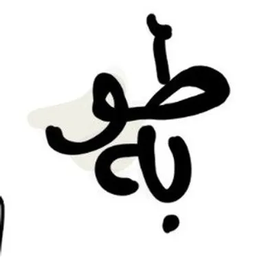 ستوديو طوبه profile