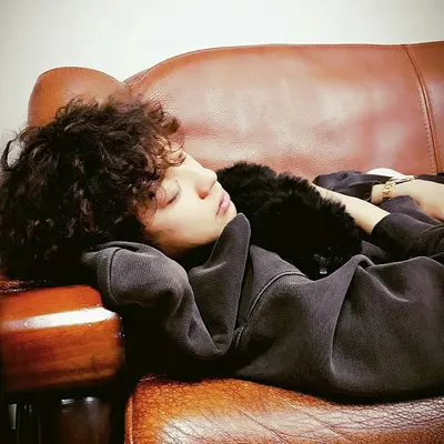 토벤이🐶 profile