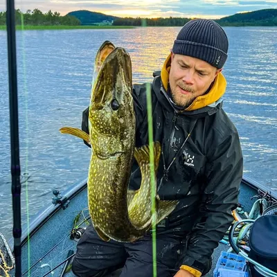 Tobias Halvarsson profile