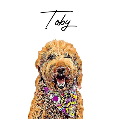 Toby profile